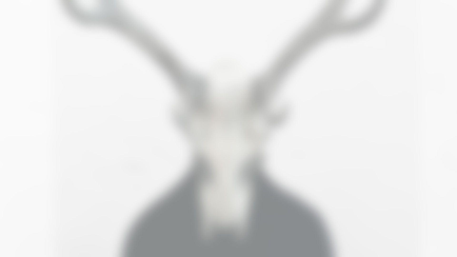 Wir lieben Details und Qualitätsarbeit.